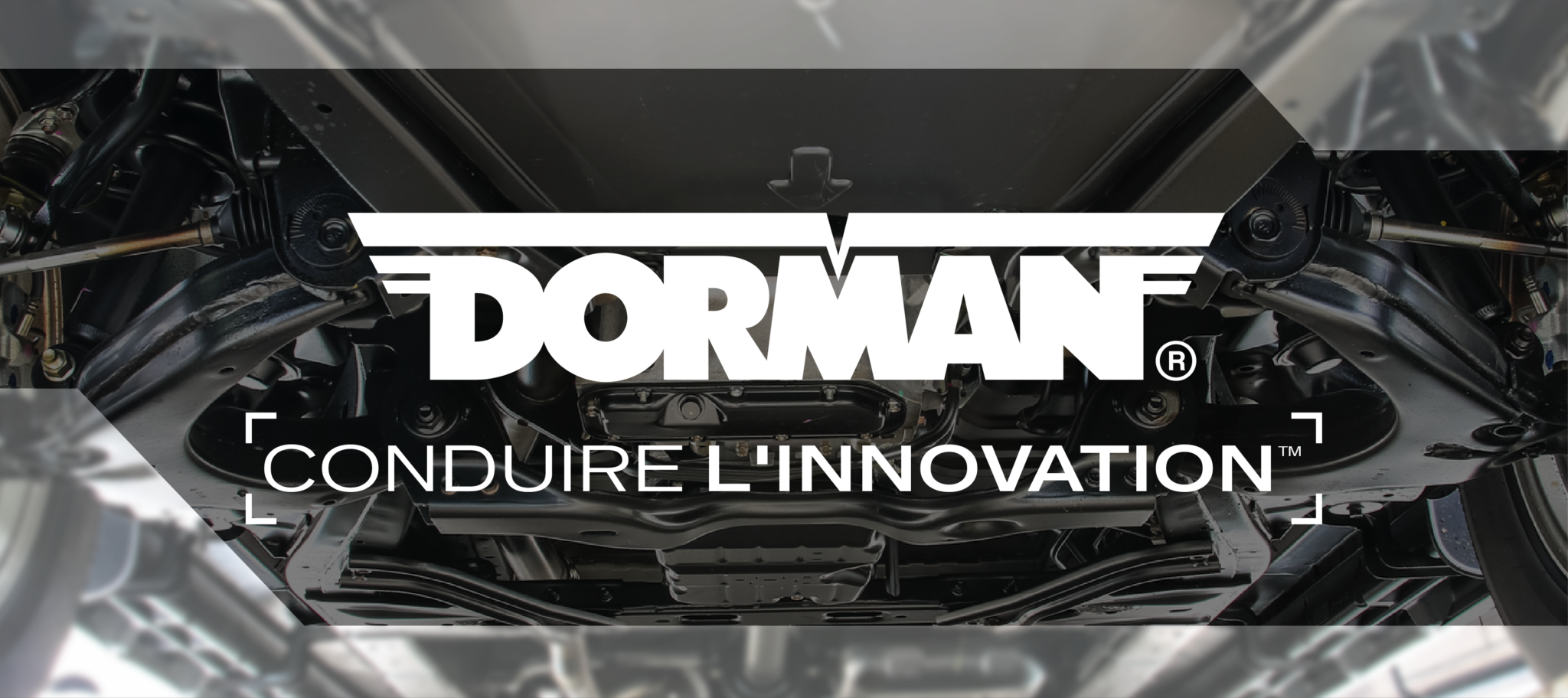 Dorman 700-743 Fermo pannello porta